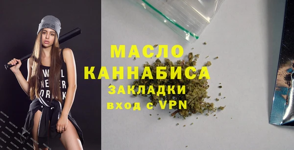 дживик Бородино
