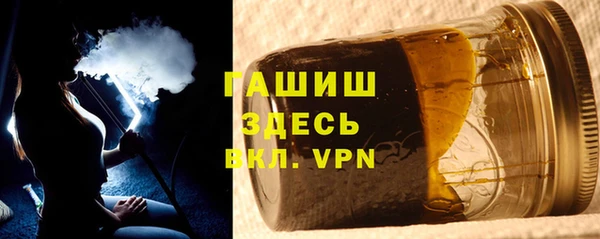 дживик Бородино