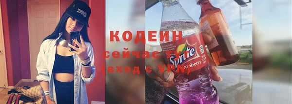 дживик Бородино