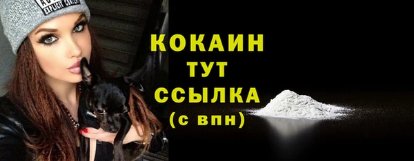 дживик Бородино