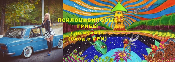 дживик Бородино