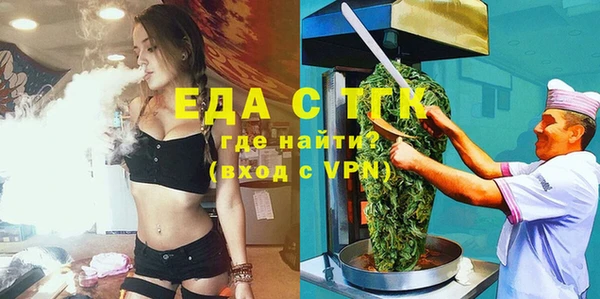 дживик Бородино