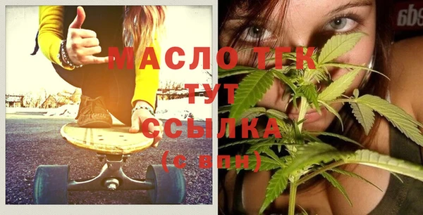 дживик Бородино