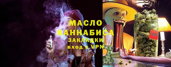 дживик Бородино