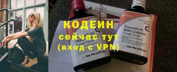 дживик Бородино